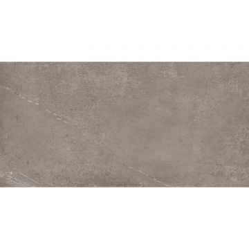 Керамогранит Imola (Имола) Stoncrete Stcr 12G RM 60x120 см