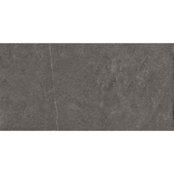 Керамогранит Imola (Имола) Stoncrete STCR1 12DG RM 60x120 см