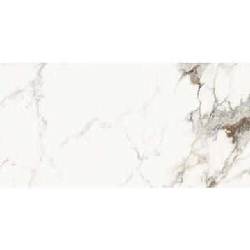 Керамогранит La Faenza (Ла Фаенза) Aesthetica AE CAP6 12 LP 60x120 см
