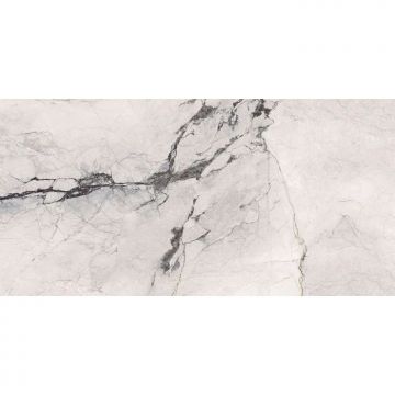 Керамогроанит La Faenza (Ля Фаэнза) Aesthetica AE CAM6 12 LP 60x120 см