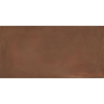 Керамогранит La Faenza (Ла Фаенза) Terra 12R RM 60x120 см