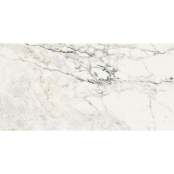 Керамогроанит La Faenza (Ля Фаэнза) Aesthetica AE PAO6 12 LP 60х120 см