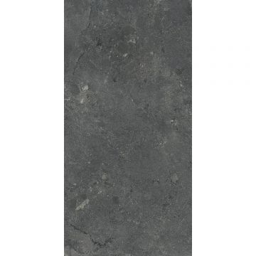 Керамогроанит La Faenza (Ля Фаэнза) Party ALGAR6 12DG RM 60x120 см