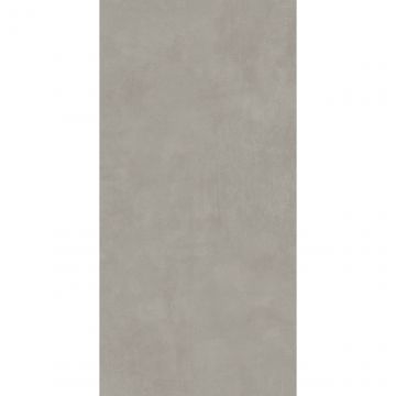 Керамогранит Foshan Cardshuo (Фошан Кардшуо) Morandi grey 612TEX052 matt 60х120 см (925111)