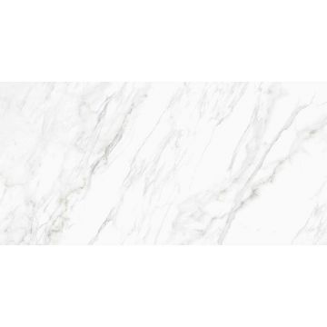 Керамогранит Идальго (Idalgo) Хоум Граните Диана Элегант 120x60 см MR