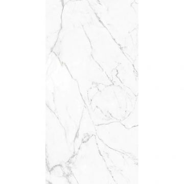 Керамогранит Gresant (Гресант) Statuario Fine Carving R 60x120 см (ROL83941)