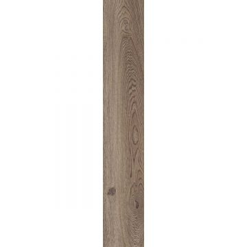 Керамогранит ABK Ceramiche (АБК Керамише) Poetry Wood Oak Nat Rett 20х120 см (PF60010060)