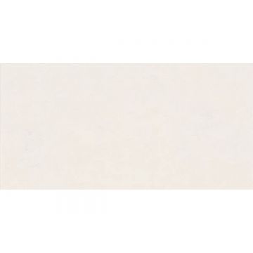 Керамическая плитка ABK ceramiche (АБК Керамише) Wide and style mini snow 60х120 см (PF60008228)