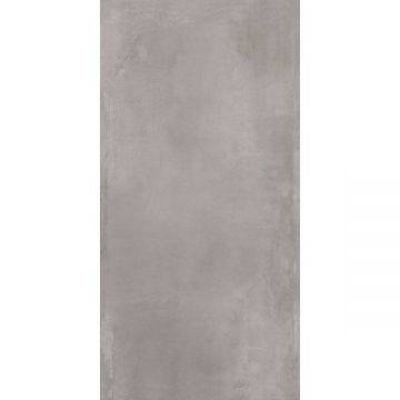 Керамогранит ABK Ceramiche (АБК Керамише) Interno 9 Silver Rett. 60x120 см, I9R34150