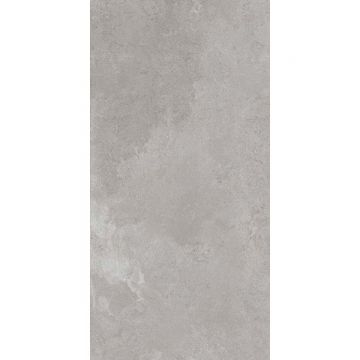 Керамогранит ABK Ceramiche (АБК Керамише) Alpes Wide Grey Ret 80х160 см (PF60000204)