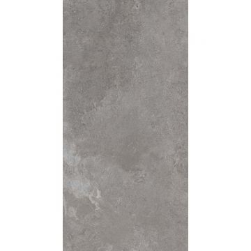 Керамогранит ABK Ceramiche (АБК Керамише) Alpes Wide Lead Ret 80х160 см (PF60000205)