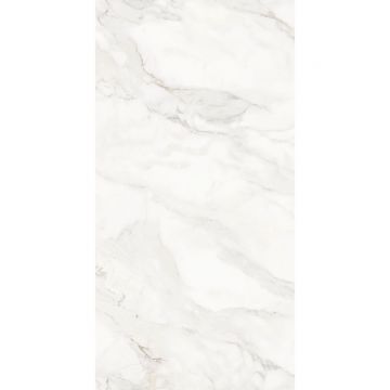 Керамогранит Novin Ceram (Новин Керам) Damoon gray 60х120 см полированный ректификат N9610T46