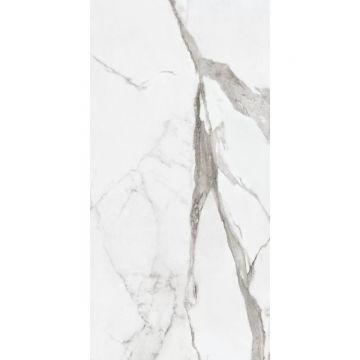 Керамогранит Ariana Epoque white statuario 60х120 см (PF60004770)