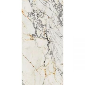 Керамогранит Ariana Epoque 21 arabescato 60х120 см (PF60009341)