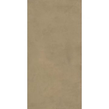 Керамогранит Ariana Luce oro 60х120 см (PF60006160)