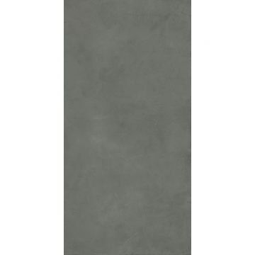 Керамогранит Ariana Luce piombo 60х120 см (PF60006089)