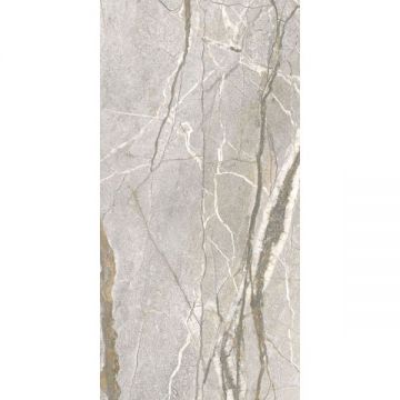 Керамогранит Flaviker (Флавикер) Supreme Hedonism Silver Roots LU3 ректификат 60x120 см, PF60017241