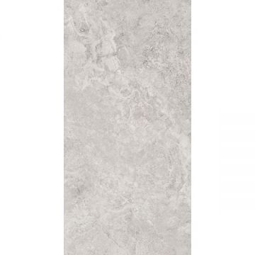 Керамогранит Monocibec (Моносибес) Mythology Regia Silver M+R 60x120 см, 141142