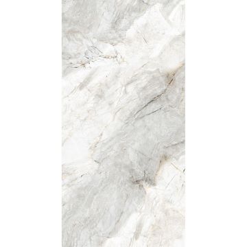 Керамогранит Art and Natura (Арт Энд Натура) Ceramica Marmo palissandro white glossy 60х120 см, глянцевый