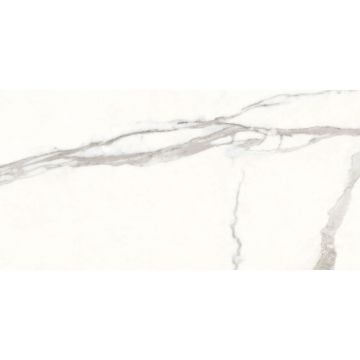 Керамогранит Art and Natura (Арт Энд Натура) Ceramica Marmo statuario venato satin matt 60х120 см