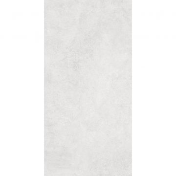 Керамогранит Art and Natura (Арт Энд Натура) Ceramica Moderno stucco silver matt 60х120 см