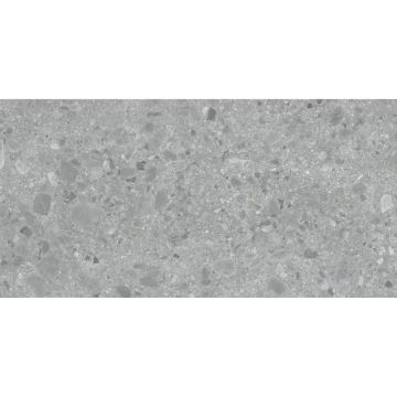 Керамогранит Art and Natura (Арт Энд Натура) Ceramica Ceppo di gre gris sand coloured body 60х120 см