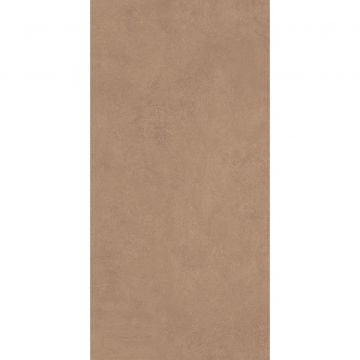 Керамогранит Art and Natura (Арт Энд Натура) Ceramica Moderno stucco terra matt 60х120 см