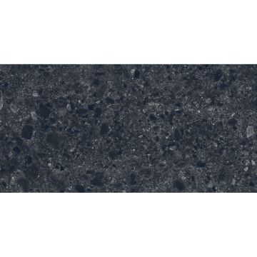 Керамогранит Art and Natura (Арт Энд Натура) Ceramica Ceppo di gre nero sand coloured body 60х120 см