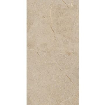 Керамогранит Art and Natura (Арт Энд Натура) Ceramica Una pietra nordiх camel glossy 60х120 см, глянцевый