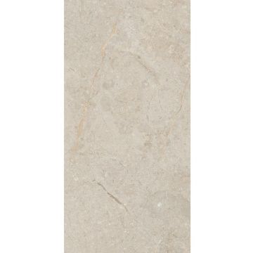 Керамогранит Art and Natura (Арт Энд Натура) Ceramica Una pietra nordiх pearl rustic carving 60х120 см