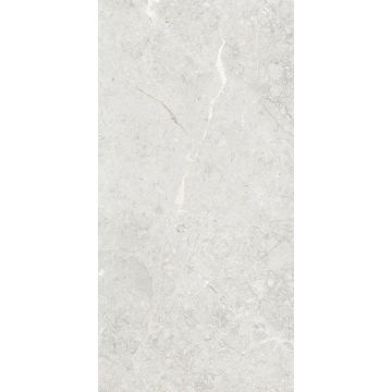 Керамогранит Art and Natura (Арт Энд Натура) Ceramica Una pietra nordiх silver rustic carving 60х120 см