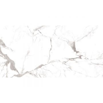 Керамогранит Art and Natura (Арт Энд Натура) Ceramica Marmo calacatta vagli super white glossy 60х120 см, глянцевый