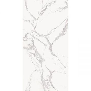 Керамогранит Ascale (Аскейл) Bookmatch Torano Statuario B Soft матовый 160х320 см, ппп00065294