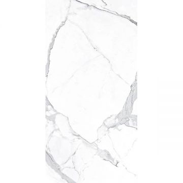Керамогранит Ascale (Аскейл) Vienmatch Alto Statuario C Soft Matt 160х320 см, ппп00065311