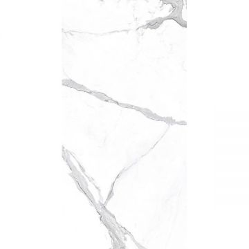 Керамогранит Ascale (Аскейл) Vienmatch Alto Statuario L Soft Matt 160х320 см, ппп00065309