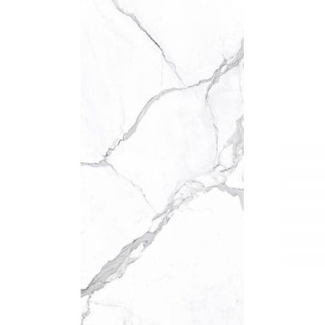 Керамогранит Ascale (Аскейл) Vienmatch Alto Statuario R Soft Matt 160х320 см, ппп00065312