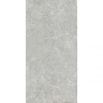 Керамогранит Ascale (Аскейл) Borgogna Silver матовый 160х320 см, ппп00064145