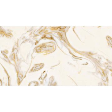 Керамогранит Golden Silk (Золотой Шелк) Sand Бежевый 60х120 см Полированный (DYM06019)