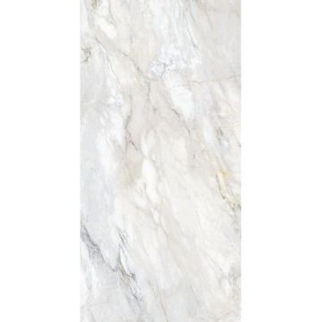 Керамогранит Golden Silk (Золотой Шелк) Carving Белый 60х120 см Матовый (YAT612P1653)