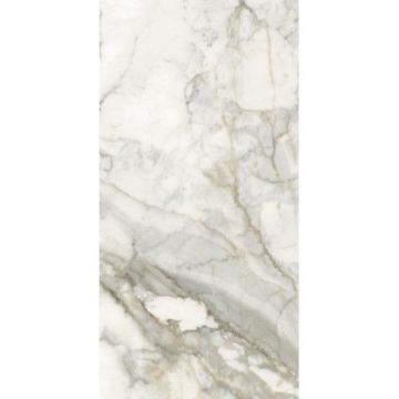 Керамогранит Golden Silk (Золотой Шелк) Carving Серый 60х120 см Матовый (YAT612P1731)