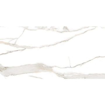 Керамогранит Sonex (Сонекс) Statuario Valencia Белый 60х120 см Матовый (HARMONY GRIS 60*120 CARVING)