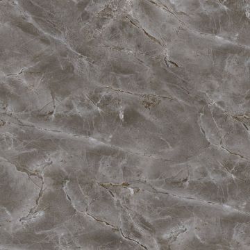 Плитка напольная Тянь Шань (Tian Shan) Дамон 45x45 см Серая TP453628D