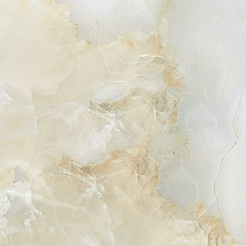 Плитка напольная Тянь Шань (Tian Shan) Леандр Светло-серая, матоый 45x45 см TP453667DA