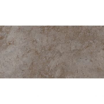 Плитка настенная Тянь Шань (Tian Shan) Бианор 30x60 см Серая TP3619BM