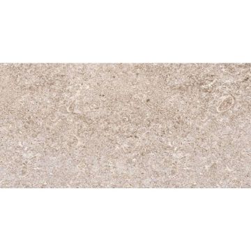 Плитка настенная Тянь Шань (Tian Shan) Алькон 30x60 см Светло-серая TP3625A