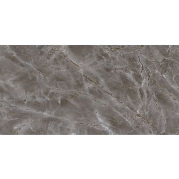 Плитка настенная Тянь Шань (Tian Shan) Дамон 30x60 см Серая TP3628B