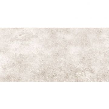 Плитка настенная Тянь Шань (Tian Shan) Дриада 30x60 см Светло-серая TP3650AM