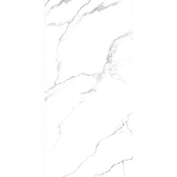 Керамогранит Absolut Gres (Абсолют Грес) Statuario Titan полированный 120x60 см, AB1124G