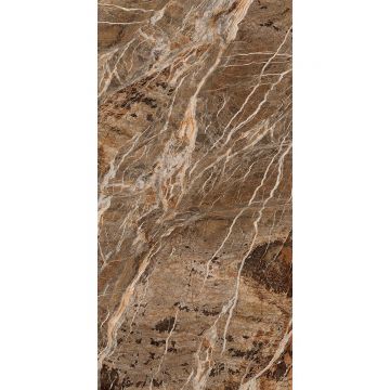 Керамогранит Absolut Gres (Абсолют Грес) Viena полированный премиум 120x60 см, AB3111G