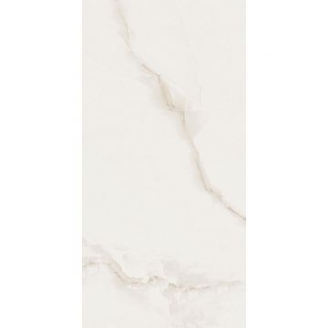Керамогранит Absolut Gres (Абсолют Грес) White Onix полированный 60х120 см, AB1147G
